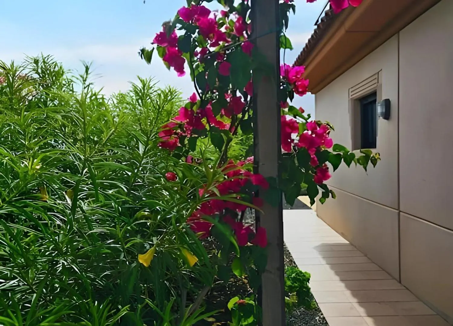 Casa Topik, Family And Surfhouse Majanicho 西班牙